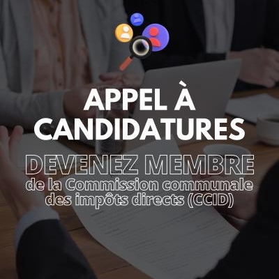 Appel à candidatures (1).jpg